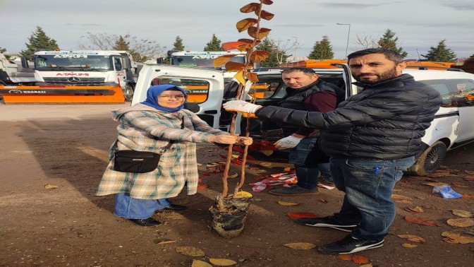 Çiftçilere yüzde 50 hibeli meyve fidanı dağıtımı başladı