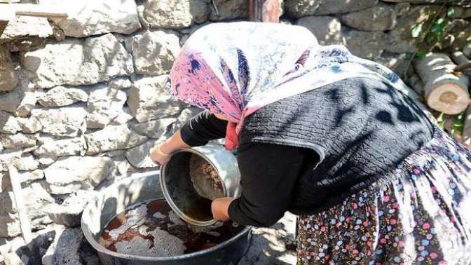 Hasandede üzümünün pekmeze yolculuğu