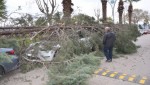 Fırtına nedeniyle deniz taştı, otomobillerin üzerine ağaç devrildi