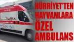 Hürriyet'ten sokak hayvanlarına ambulans desteği